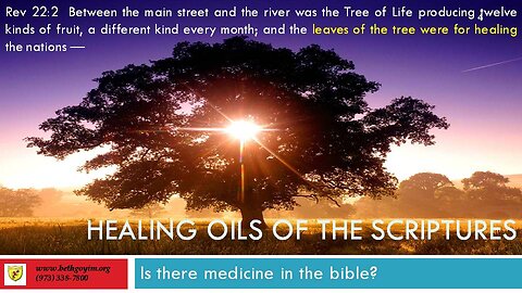 Holy Anointing Oils