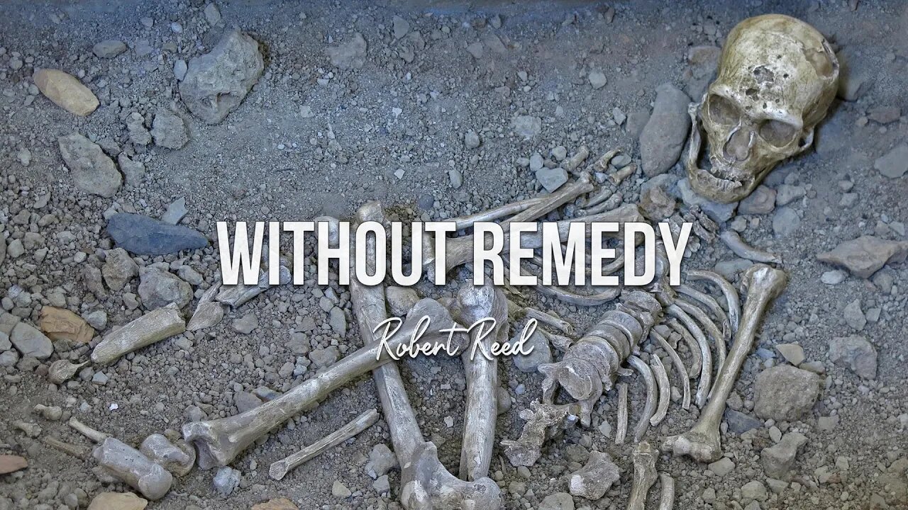 Robert Reed - Without Remedy