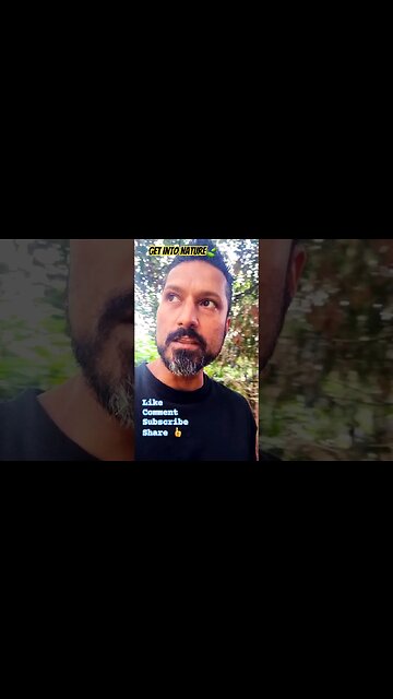 Get Into Nature🍃 #nature #naturelovers #naturespirit #trees #selfcare #selfhealing #naturesounds