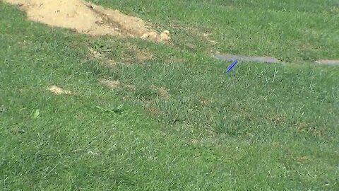 Family waits for veteran's grave marker