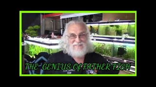 THE GENIUS OF FATHERFISH - WHAT IS FISH FOOD?