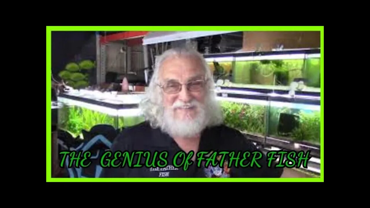 THE GENIUS OF FATHERFISH - WHAT IS FISH FOOD?