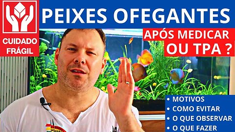 🔴 CUIDADO ao Colocar Produtos (e outras coisas) no Aquário - Peixes Ofegantes?