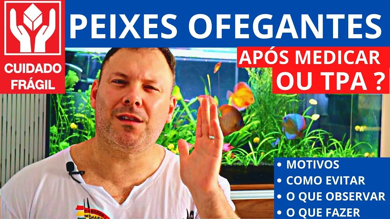 🔴 CUIDADO ao Colocar Produtos (e outras coisas) no Aquário - Peixes Ofegantes?