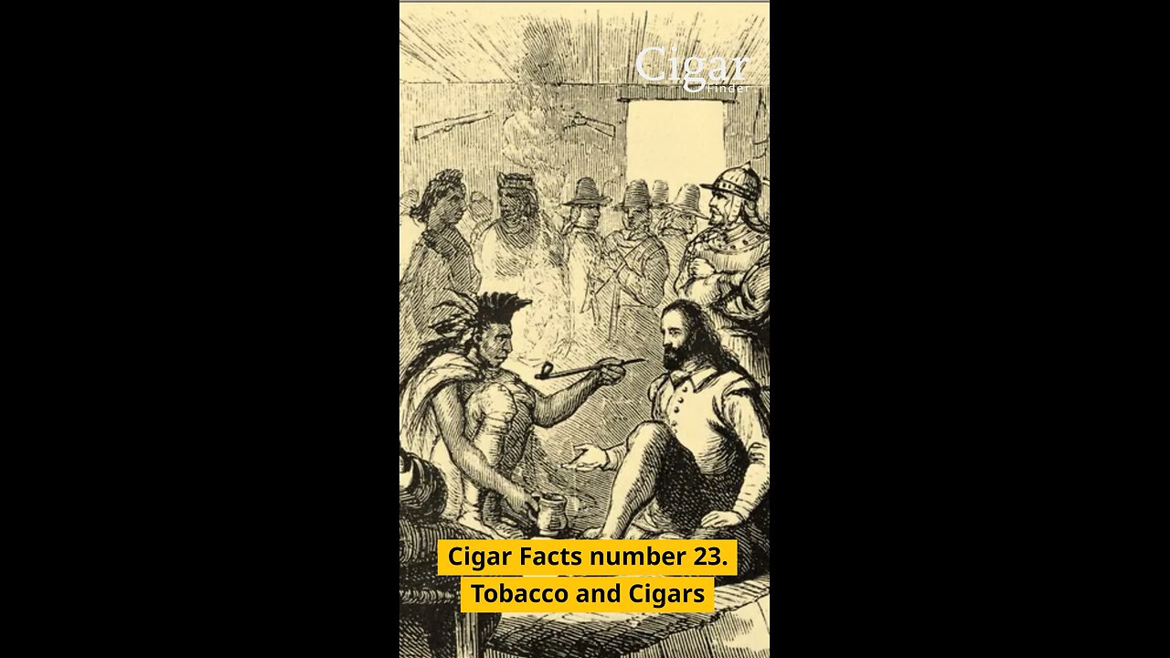 When was Tobacco Introduced to Europe? #CigarFacts23 #history #cigars #cigarsociety #cigarfinder