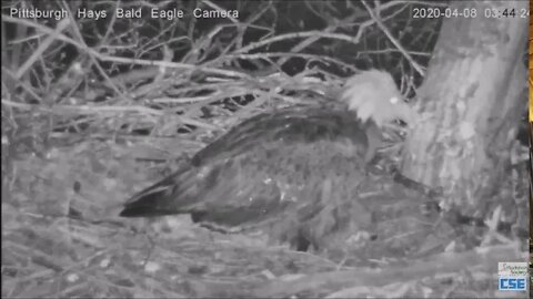 Hays Eagles Bad storm timeline all is well 130 4pm 4820