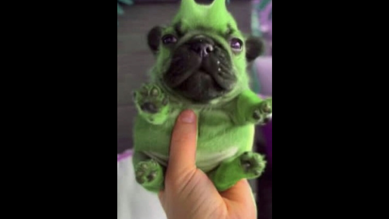 Just a mid night gaming