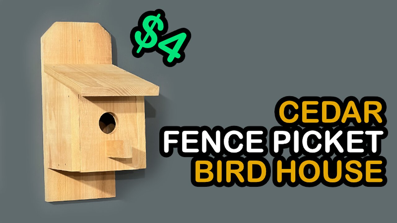 Cheap Cedar Fence Picket Bird House | Shop Noise