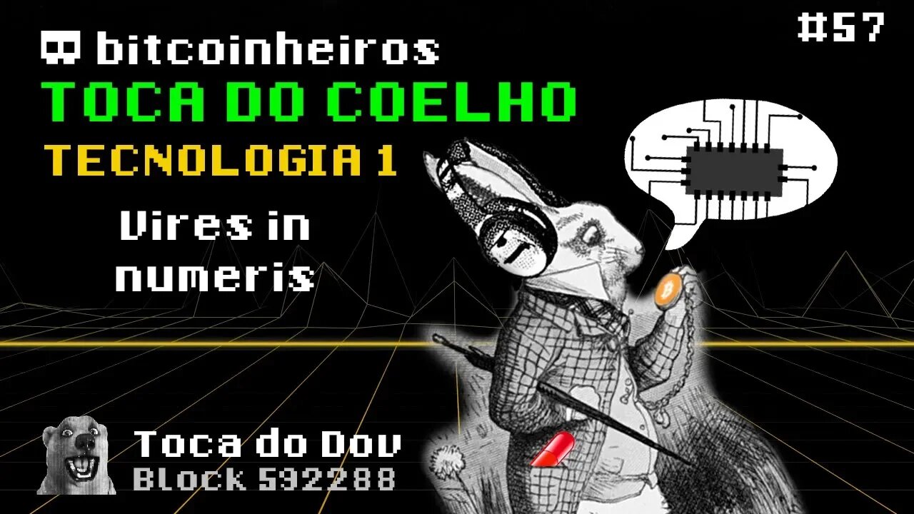 Força nos Números - Toca do Coelho Bitcoin: Tecnologia 1/7