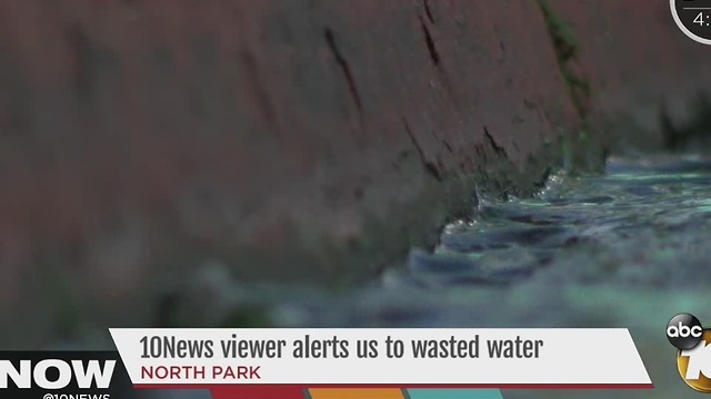 10News viewer alerts us to wasted water