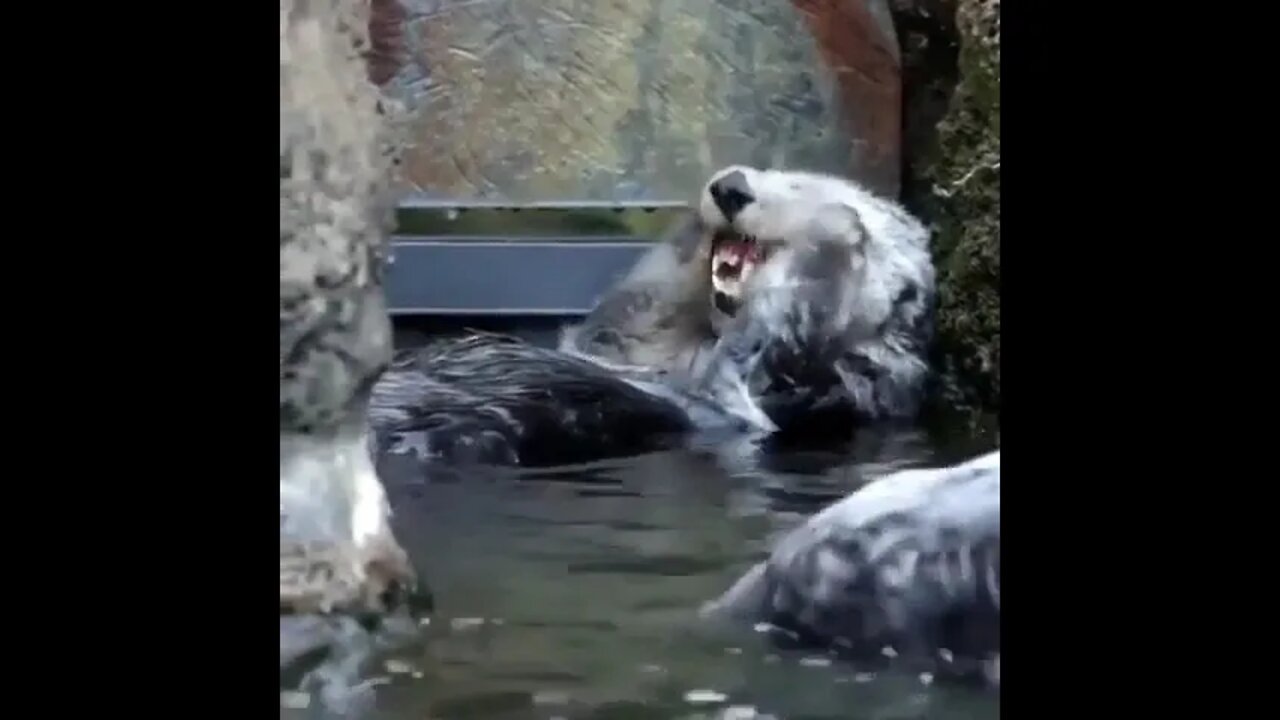 Bath day