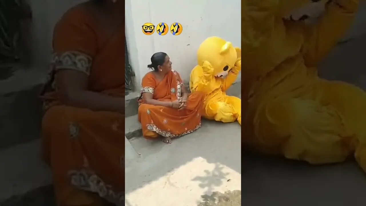 teddy bear funny video.