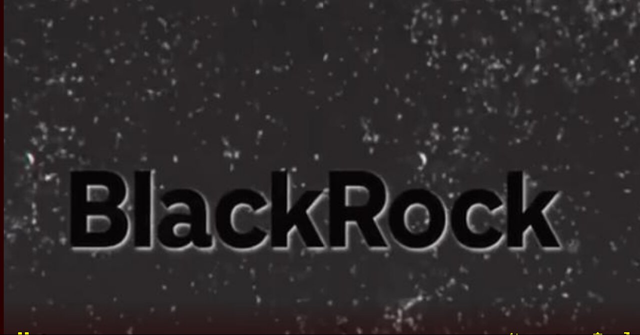 BlackRock_ The Most Evil Business In The World