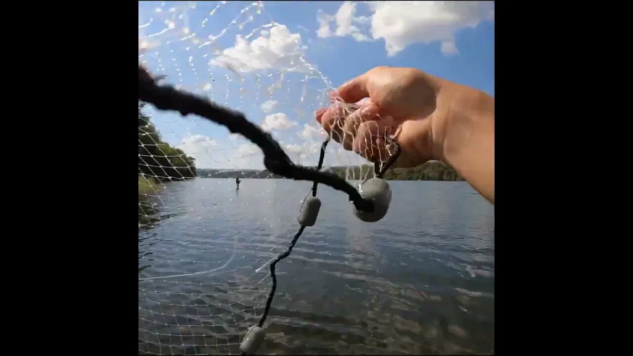 netting some bait