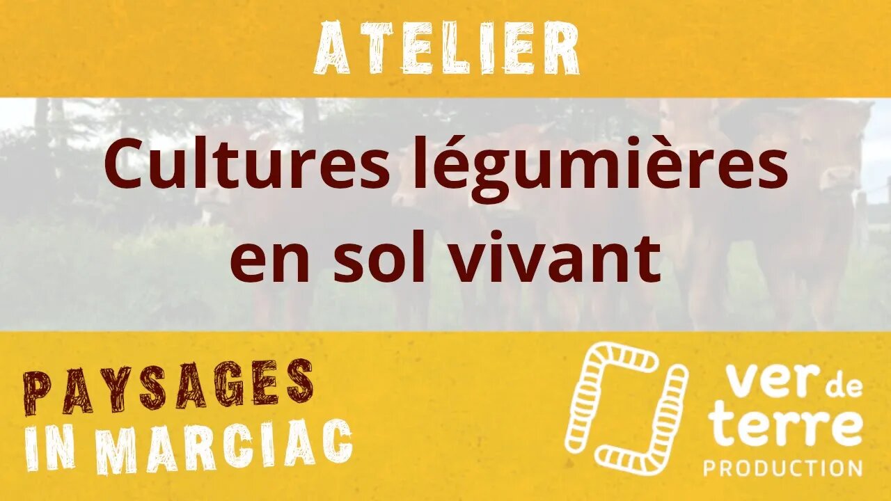 Atelier "Cultures légumières en sol vivant"