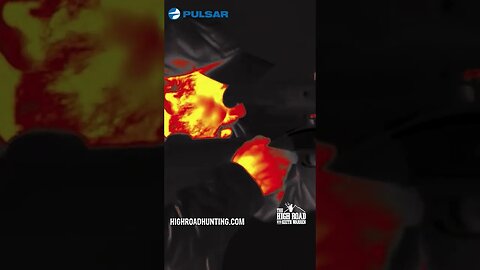Powerful Airgun BLASTS through hog! #shorts