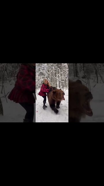 That’s One Pissed Off Poodle