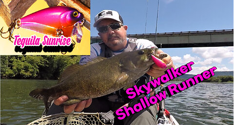 Skywalker Shallow Runner crankbait! What a great River Bait!