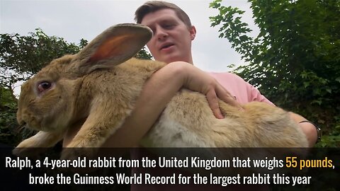 9 Of The World's Biggest Pets