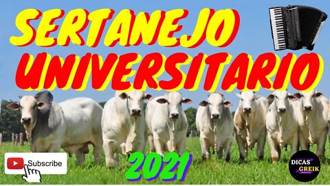 SERTANEJO UNIVERSITARIO 2021 || AS MELHORES