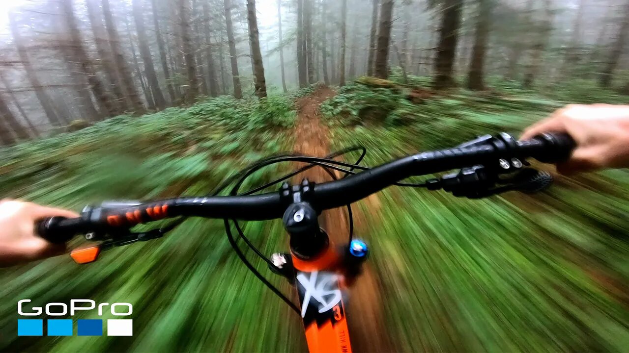 POV Foggy Forest Bike Ride Downhill