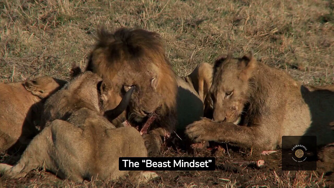 The BEAST Mindset