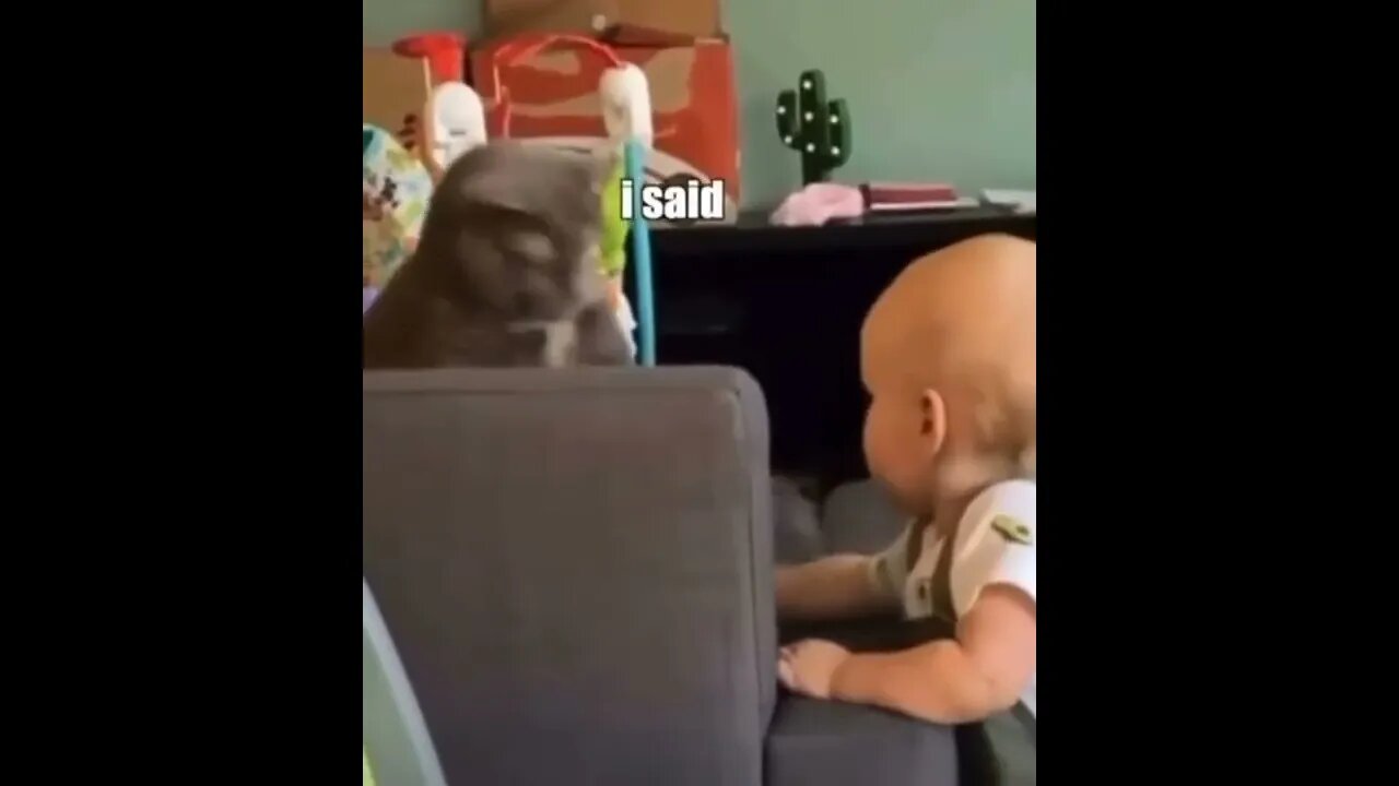 Teach kids early, or let your cat teach them