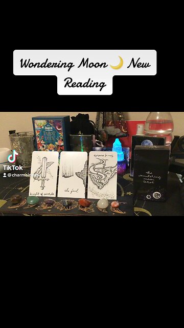 Wondering Moon 🌙 Tarot Reading