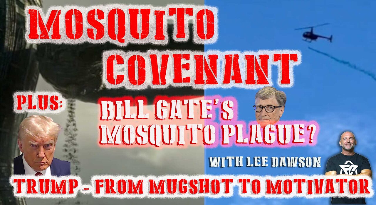 Mosquito Covenant - Bill Gate's Mosquito Plague?