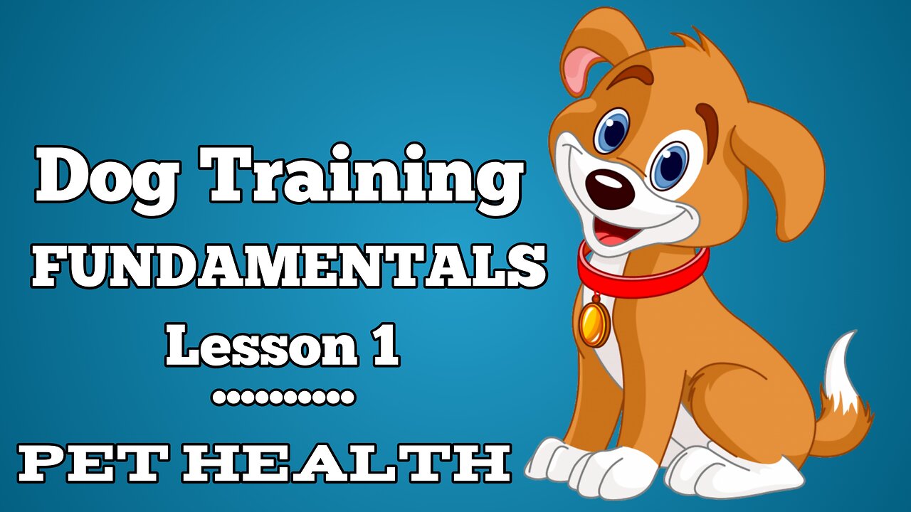 Dog Training Fundamentals