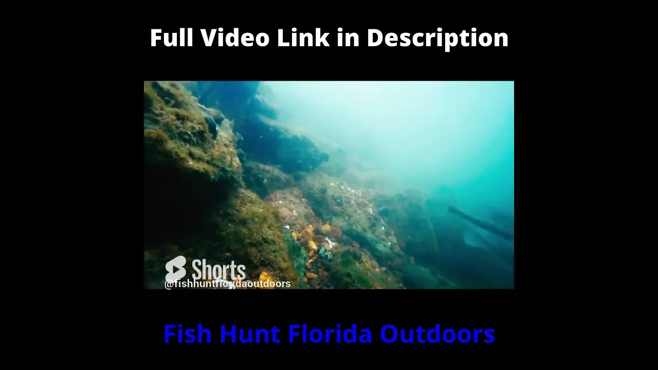 from the tennessee River