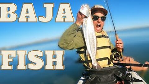 kayak fishing BAJA- big fish