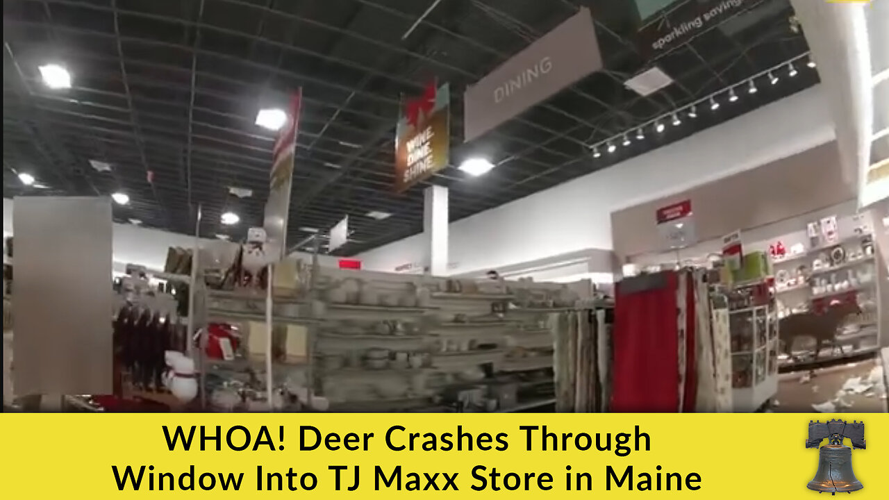 WHOA! Deer Crashes Through Window Into TJ Maxx Store in Maine