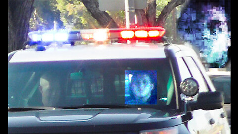 372. Gang Stalking for Uploading Reptilian Exposure! (RBruce June 2, 2017)