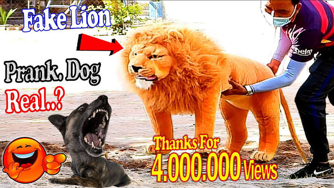 TRY NOT LAUGH DOG REACTION, FAKE LION AND FAKE TIGER