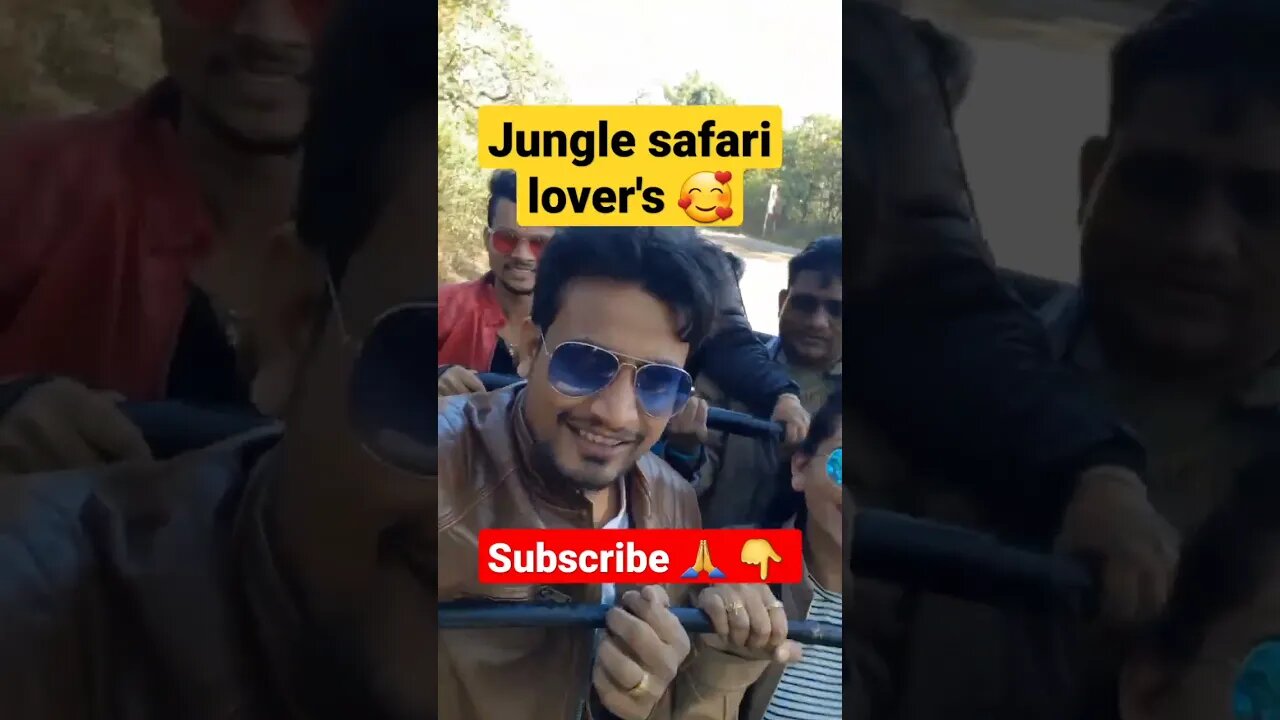 Jungle safari lover's 🥰😜❤❤#junglesafari #shorts #aartishaileshvlogs #subscribe #viralvideo