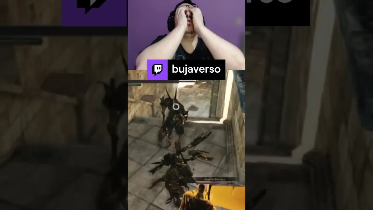 Alegria | bujaverso em #Twitch