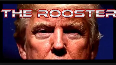 They’ve come to Trump the rooster