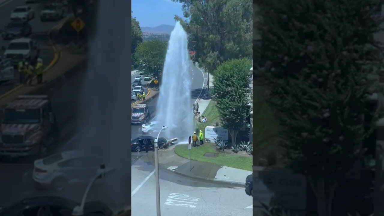 “When Water Flies” Just Can’t Help but Look.