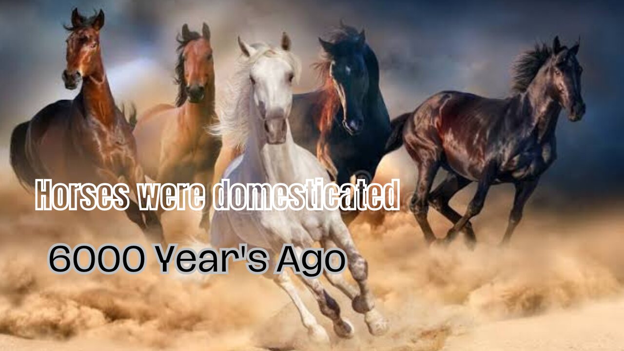 Horses were domesticated around 6000 years ago ! #horses #horsesofinstagram #FactHUBFun