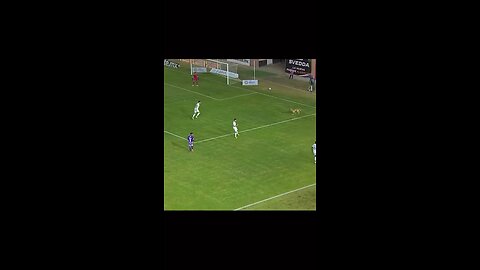 dog playing football in ground with player