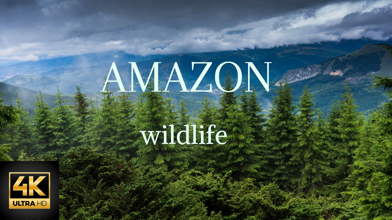 Exploring the Amazon Rainforest: An Intimate Journey Into Wildlife Haven | Wildlife Documentary