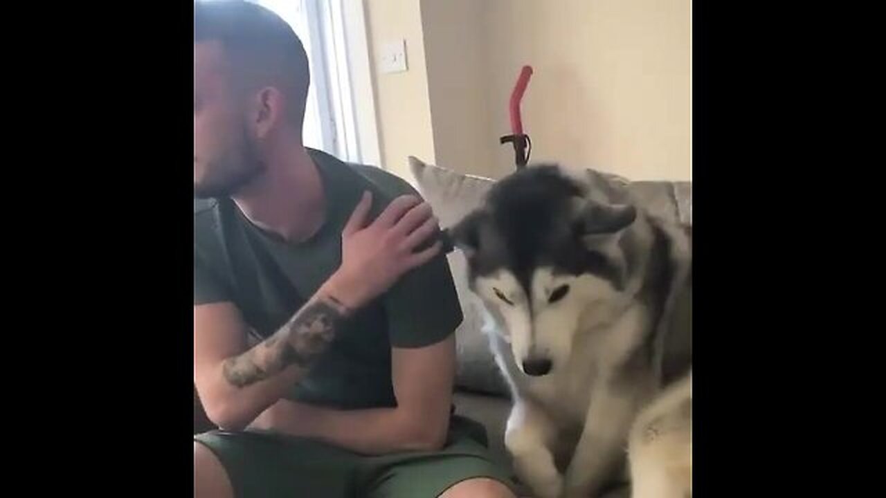 Loving Dog!!!