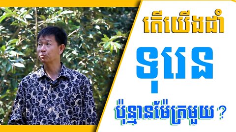 តើយើងដាំទុរេនប៉ុន្មានម៉ែត្រមួយ? អោយមានតែចន្លោះ 5 ម៉ែត្រដាំសិន - Grow Durian - khmer Agriculture