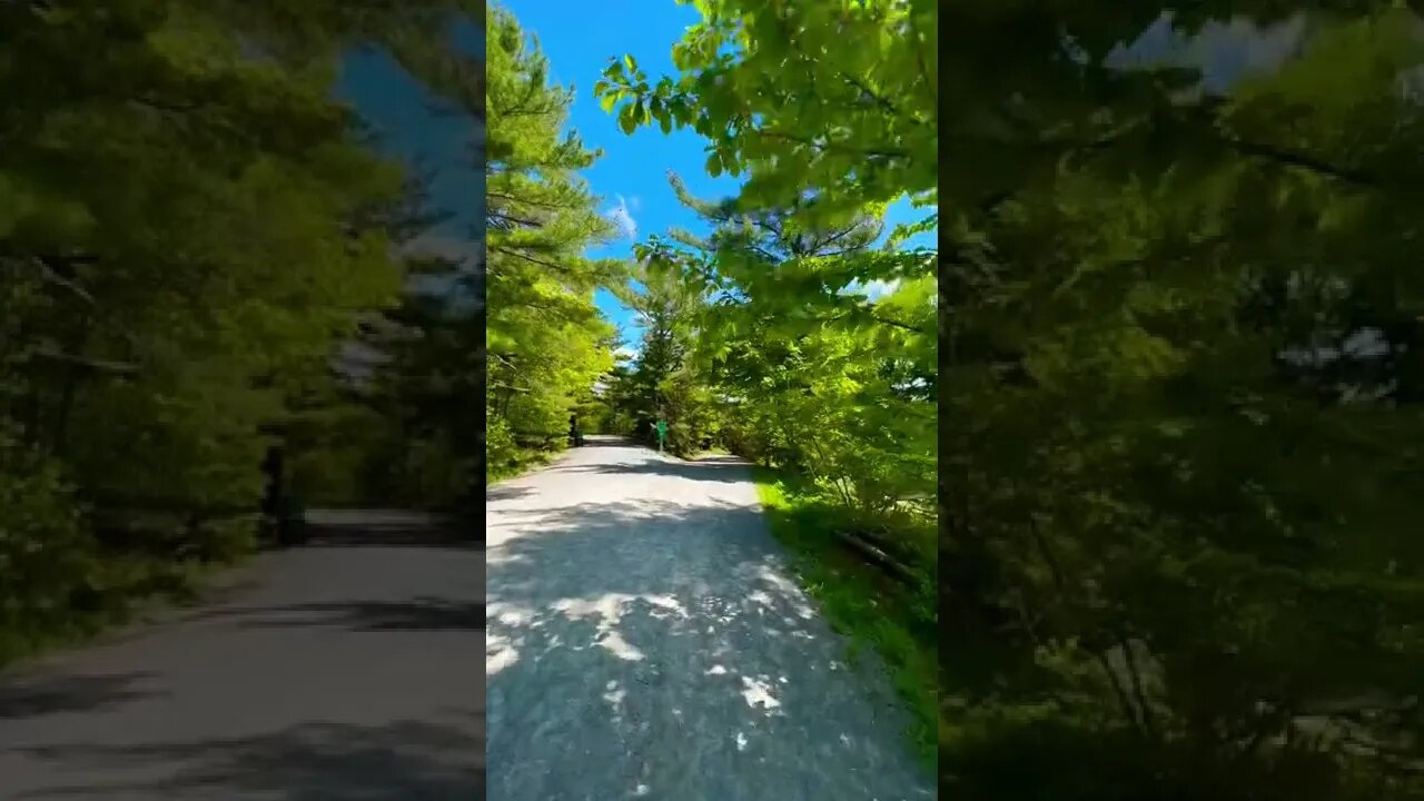 Canadian parks are so nice 🌳