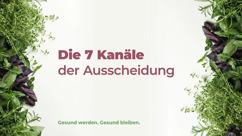 04. Die 7 Kanäle der Ausscheidung # Heidi Kohl # Gesund werden. gesund bleiben.