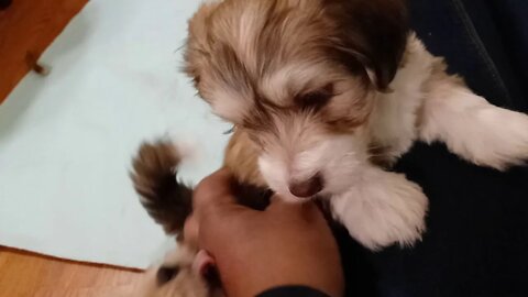 k Litter - Yesterday & Today(3)