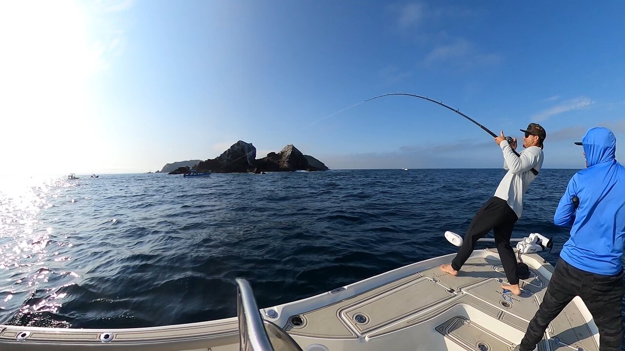 Coronado Island Surface Iron Yellowtail Fishing around HUNDREDS of BOATS - Combat Fishing in the ZOO