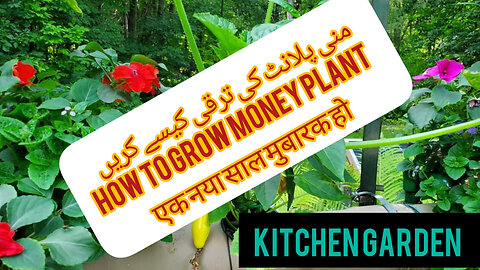 Kichengarden routine growing seeds timing starting seeds