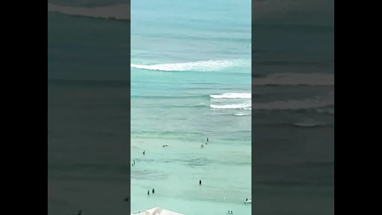 TINY BUBBLES